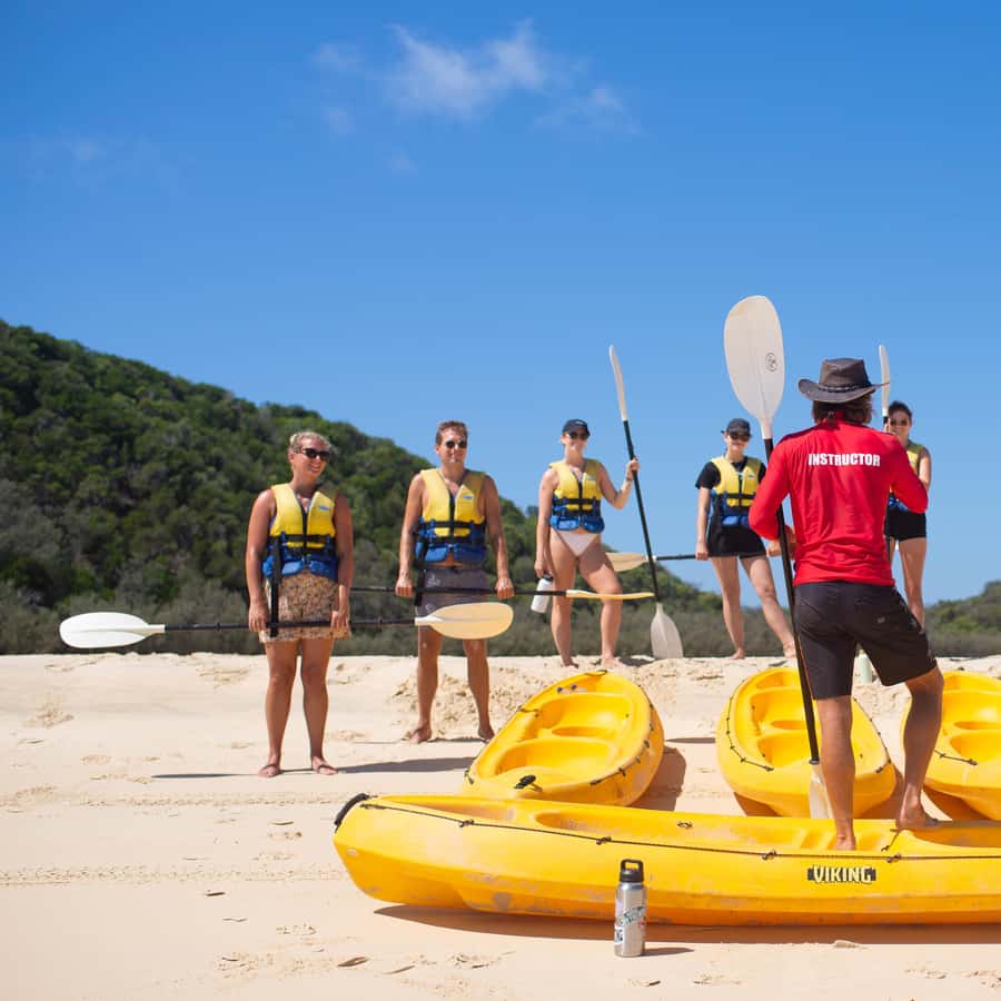 Noosa: Dolphin Sea Kayak & Beach 4X4 Tour (in National Park)