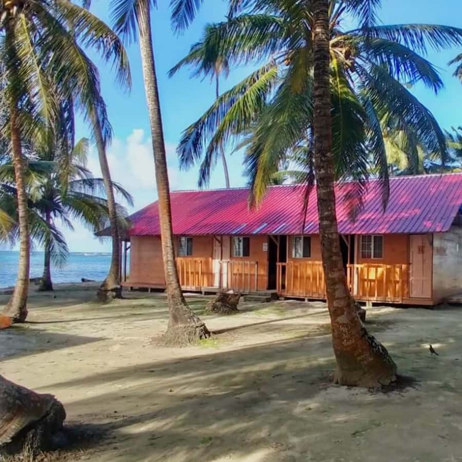 Galería de fotos para redes