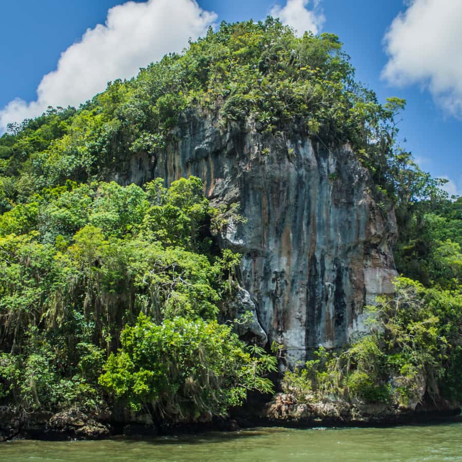 Erotik qizlar ekran qoriqchisi