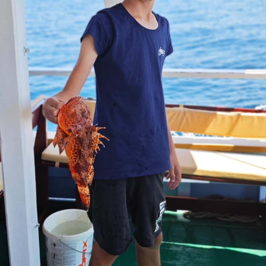 比奧格拉德：適合所有年齡層的正宗秋季釣魚體驗| GetYourGuide