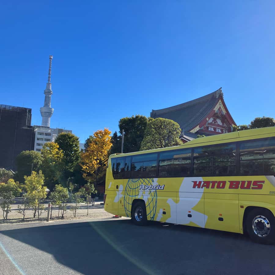 メディア コラージュ