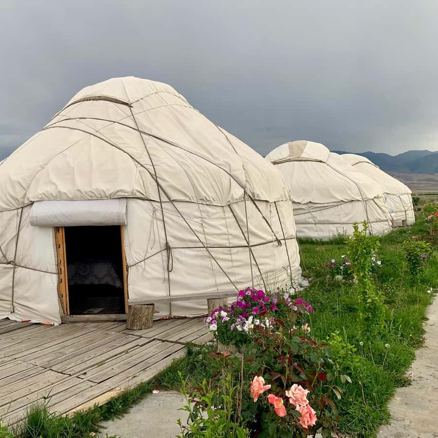 Porno videoni onlayn tomosha qiling: Seksual ona va ogil