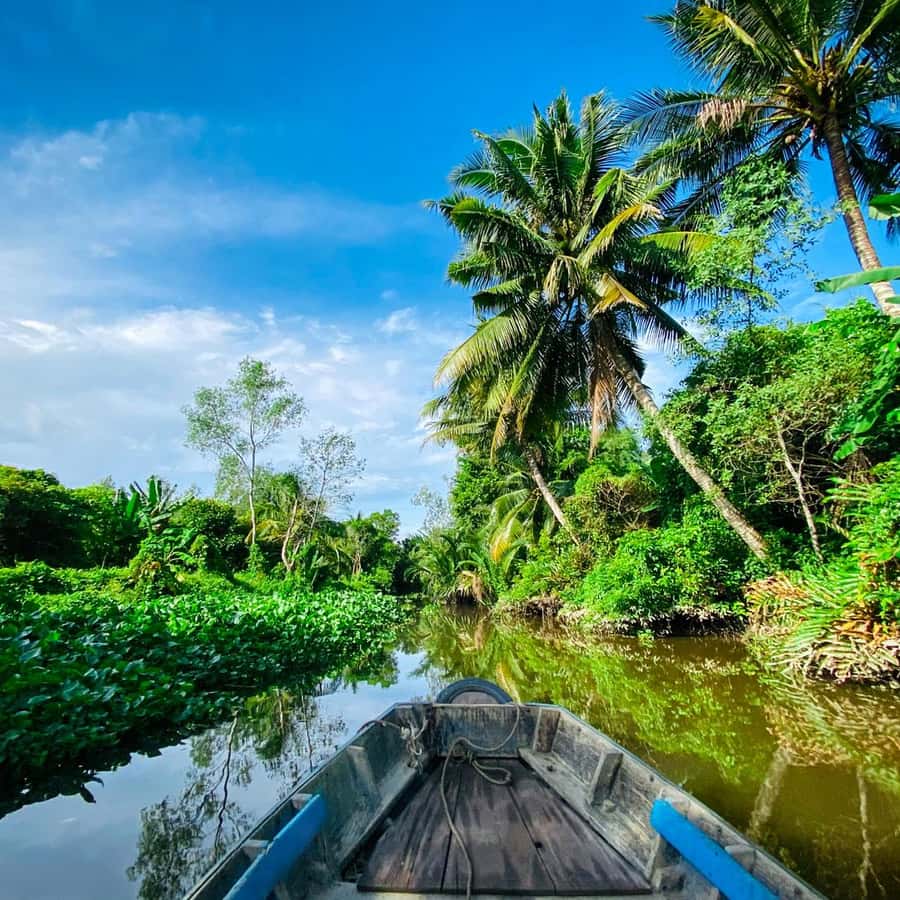 Galería de fotos para redes