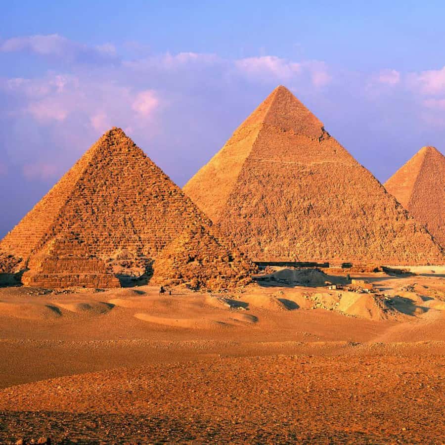 女性ガイドによるピラミッド、スフィンクス、大エジプト博物館(GEM