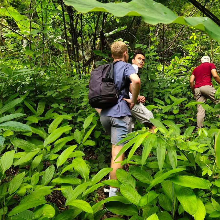Chiang Rai: Jungle Adventure-Group Trekking Bamboo Cooking