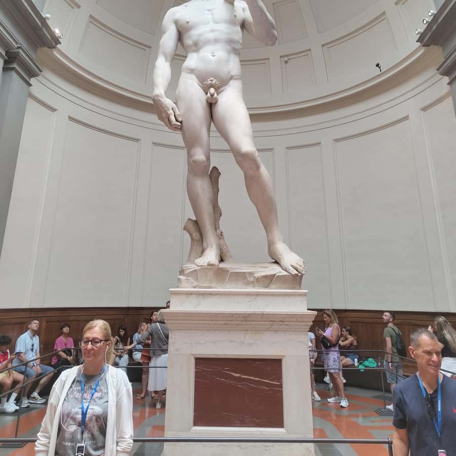 Galerie média