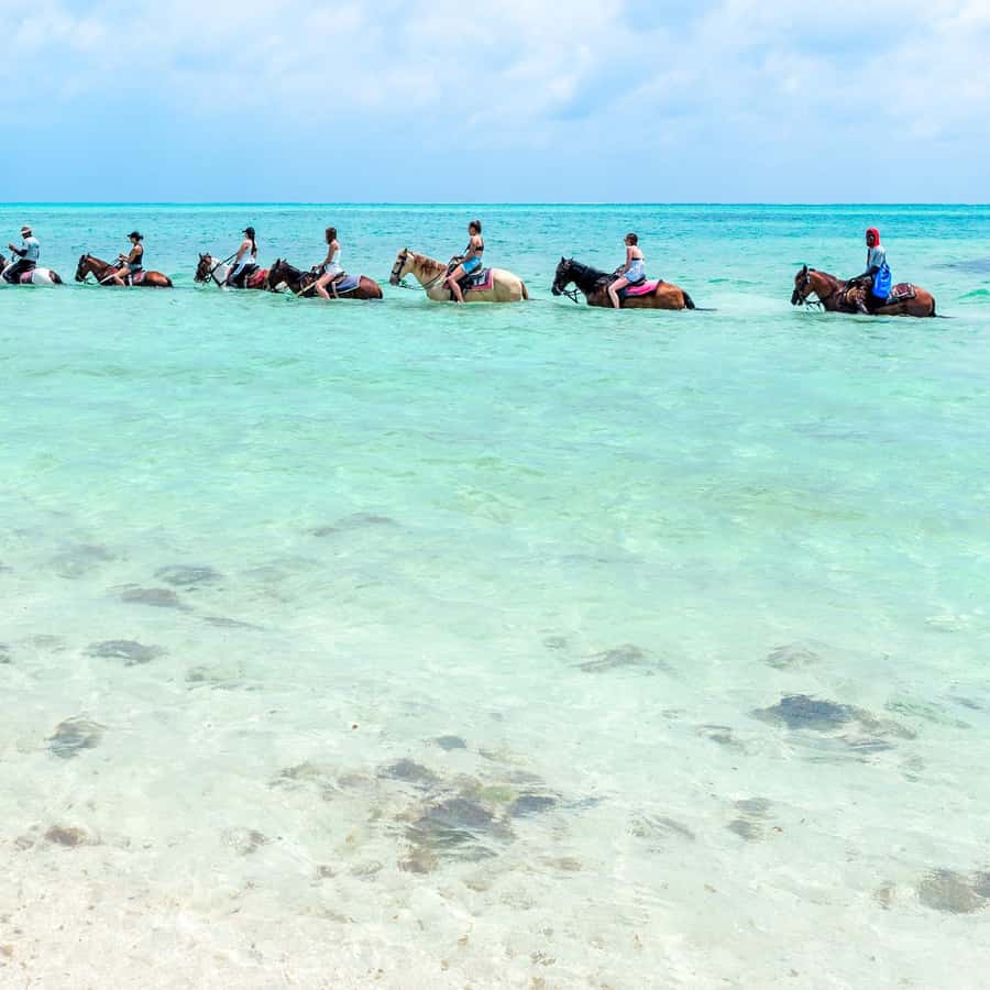 Providenciales: Beach and Ocean Horseback Riding Adventure