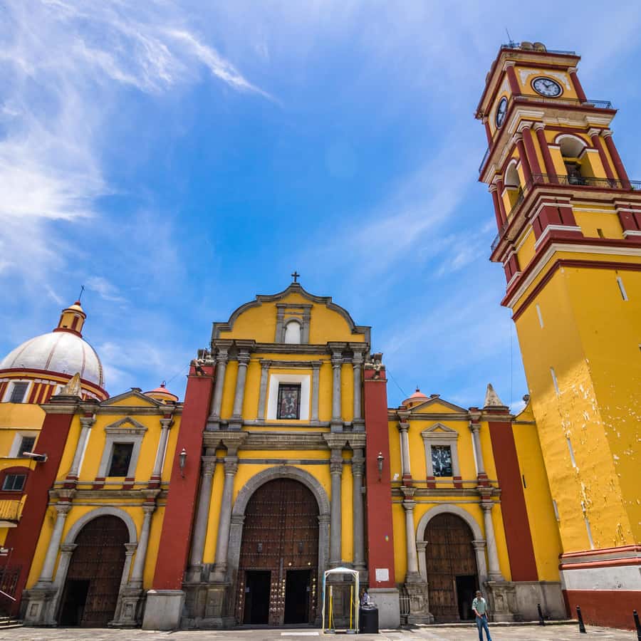 image not described image