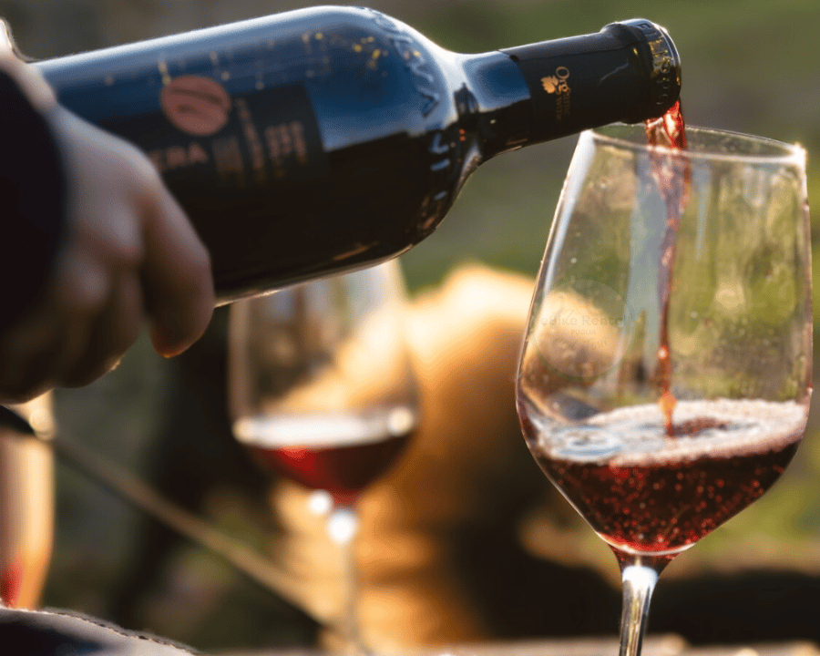 Tasting Session Overnight Vineyards Near Me Overnight Wine Tasting