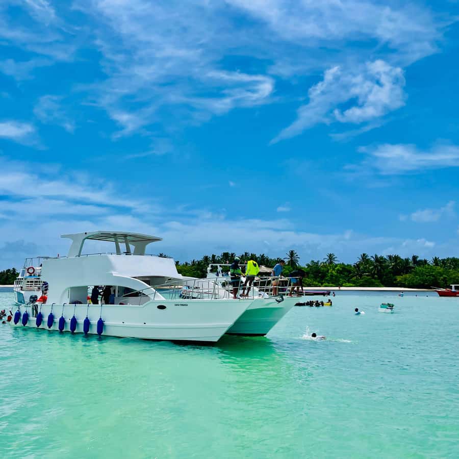 Party Boat Booze Cruise with Snorkling