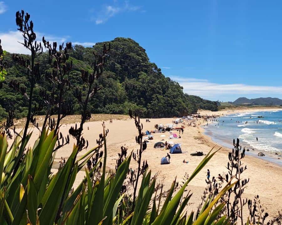 Colagem de mídia