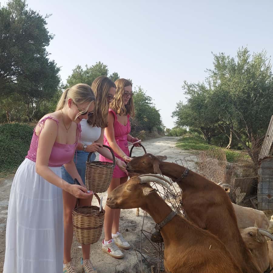 Cooking Lesson in Heraclion by Baxes GetYourGuide