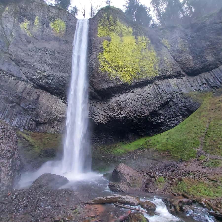 Columbia River Gorge Half-Day Small-Group Hiking Tour GetYourGuide