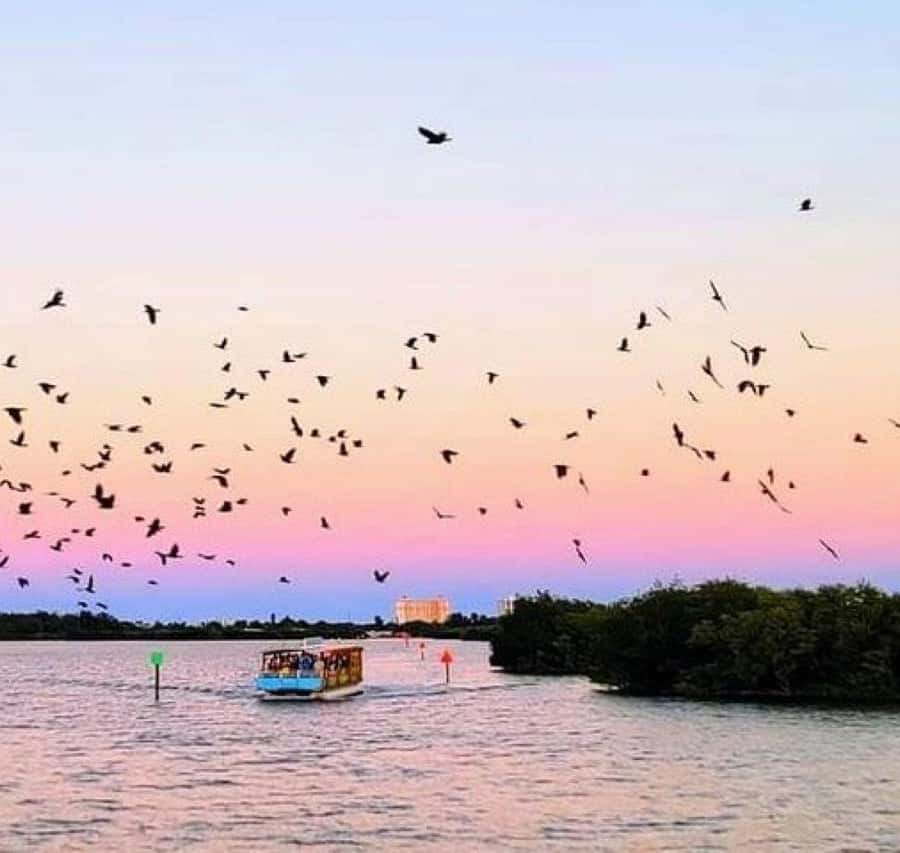 Colagem de mídia