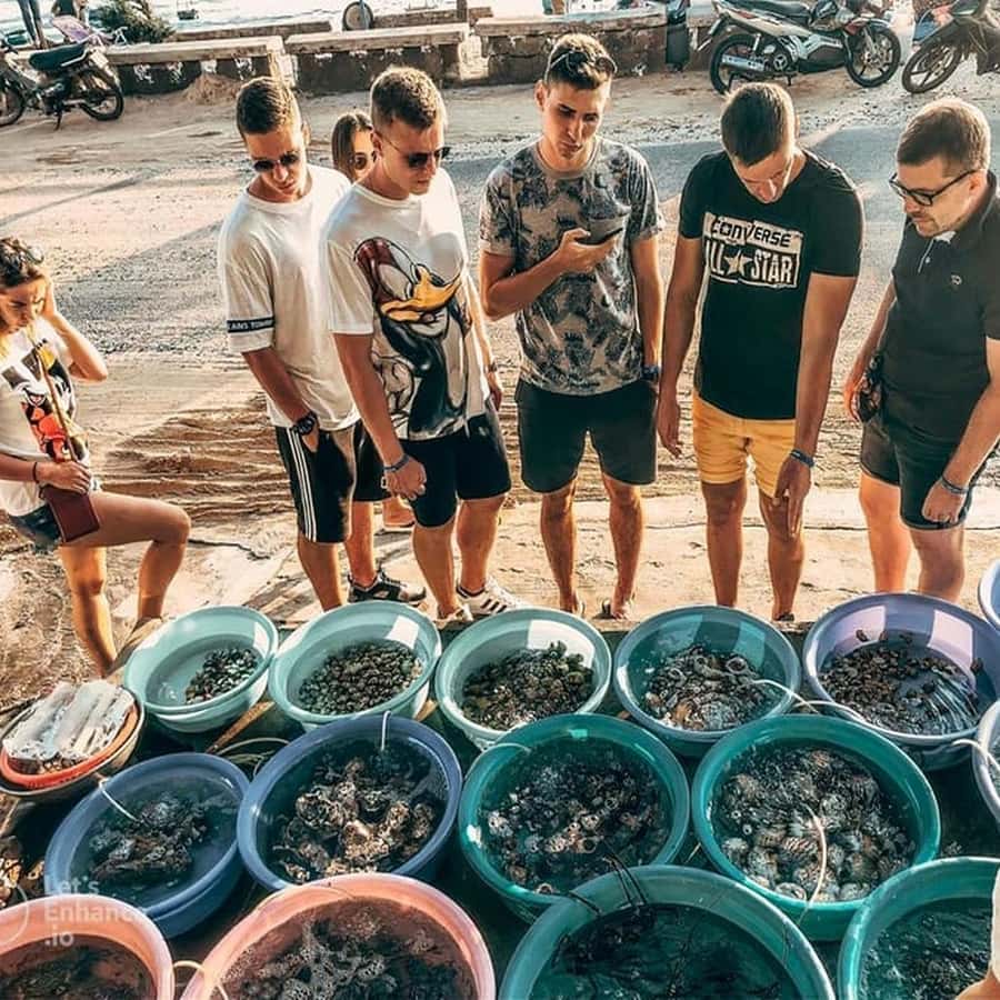 Galería de fotos para redes