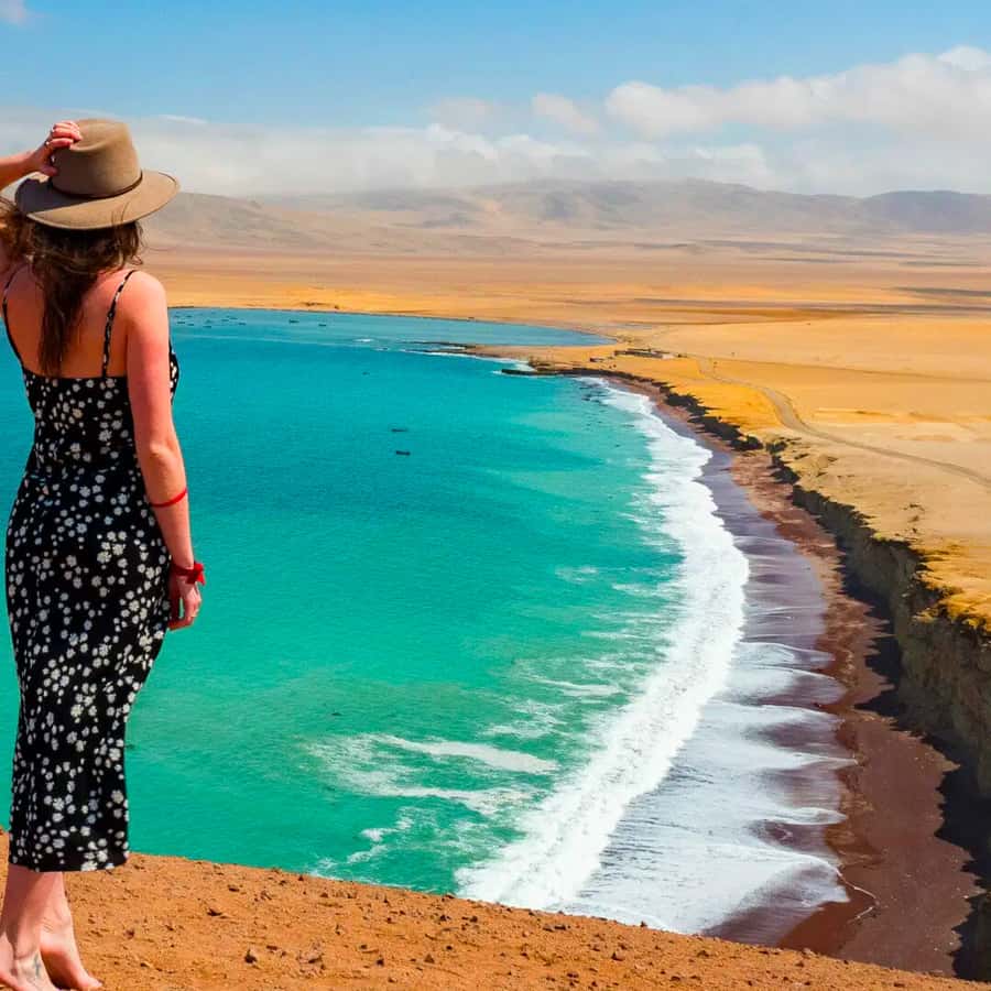 Galería de fotos para redes