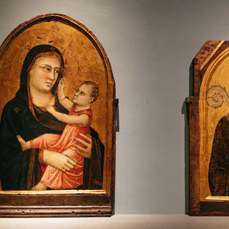 Galería de fotos para redes