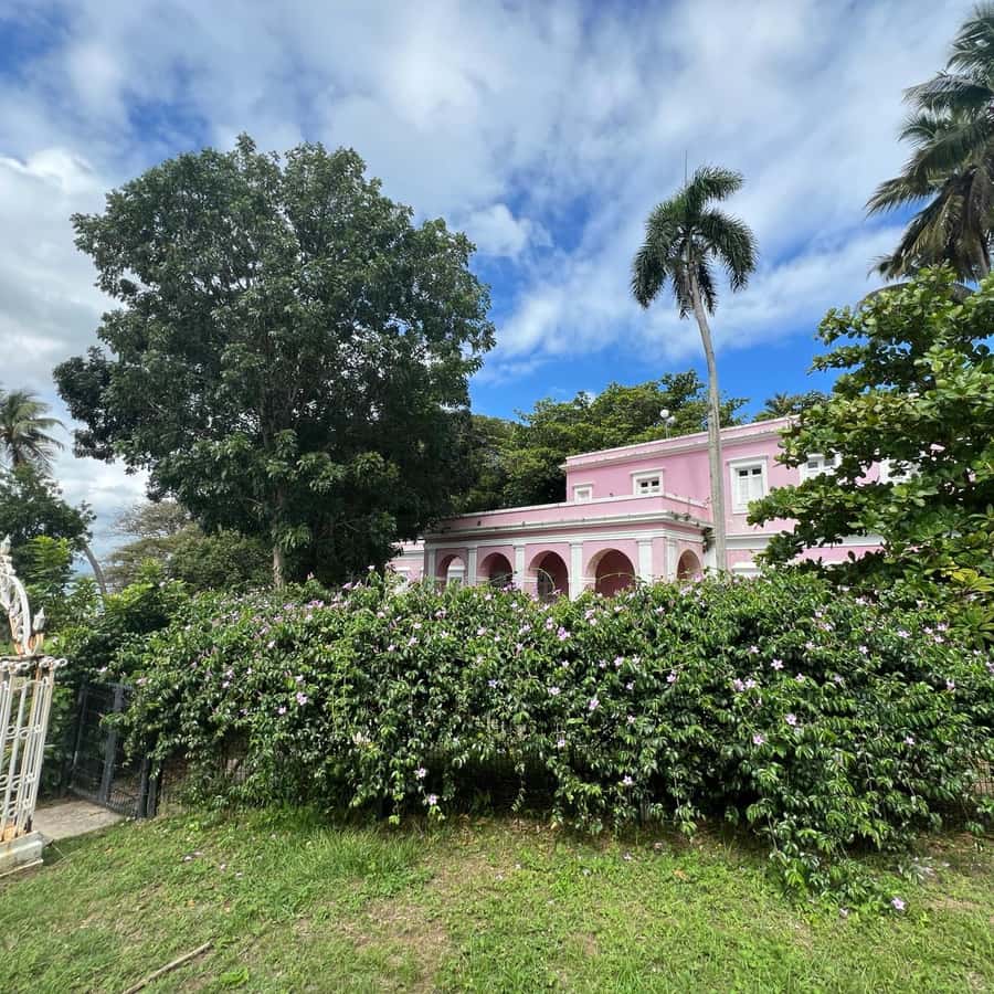 Colagem de mídia