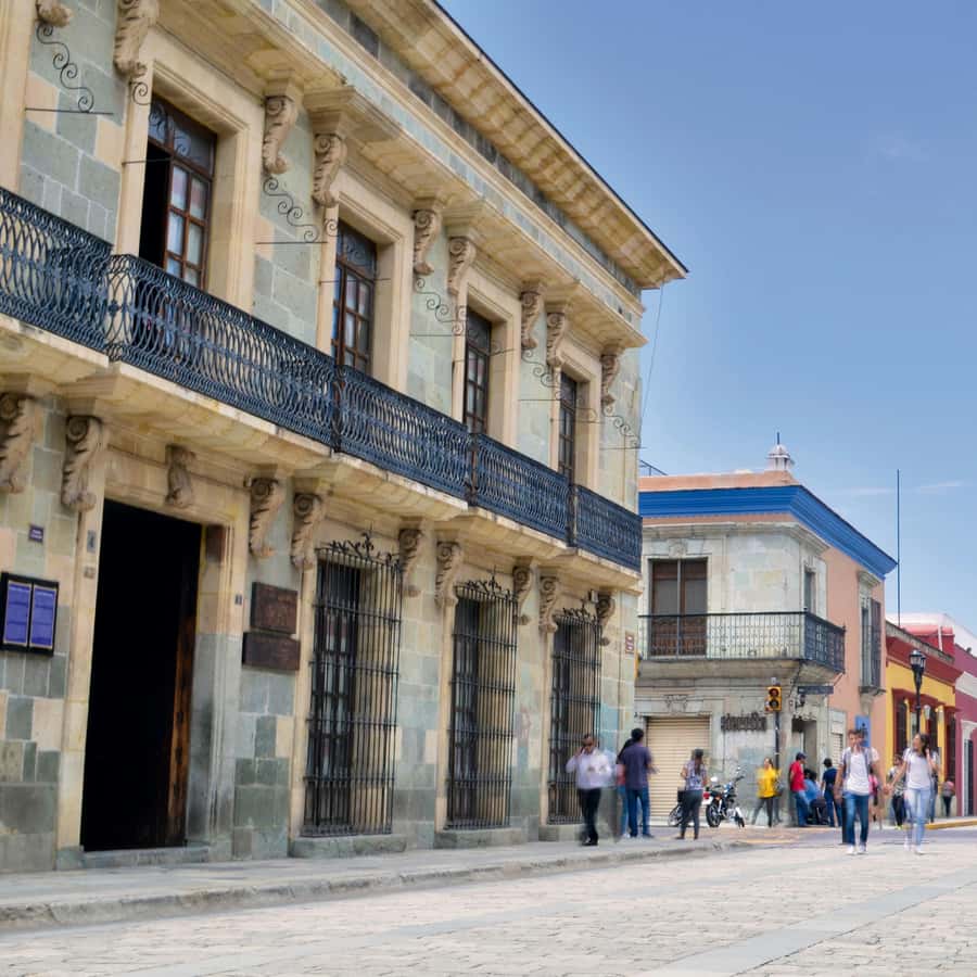 Galería de fotos para redes
