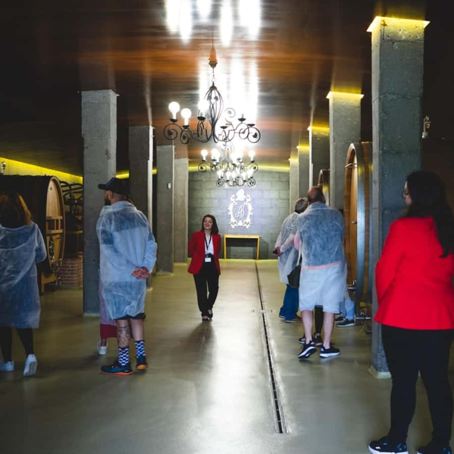 Galerie média