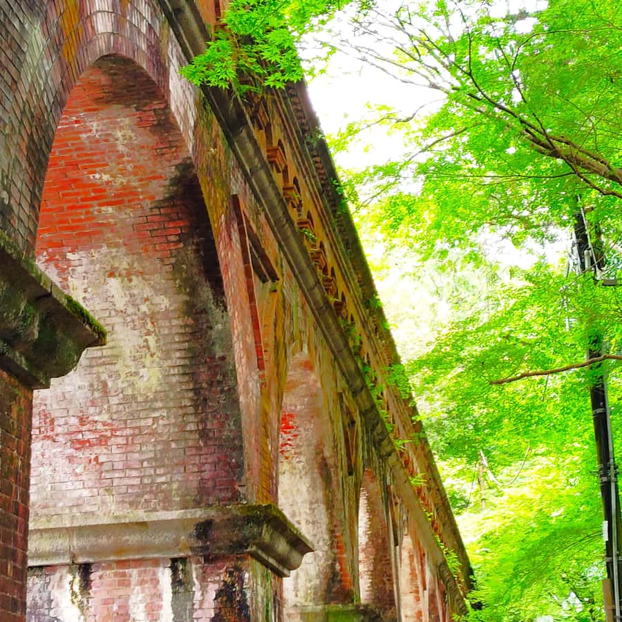 Kyoto: Philosopher’s Path and Hidden Temple Walking Tour