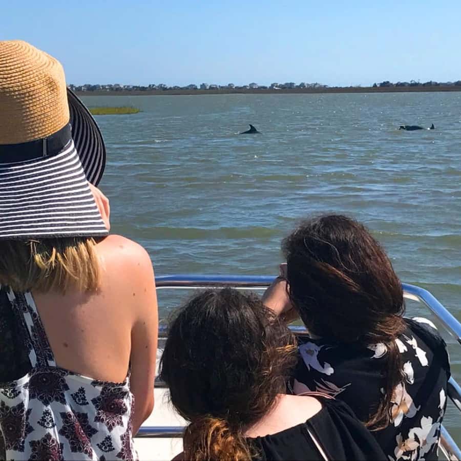 Charleston: Morris Island Lighthouse Eco-Boat Tour