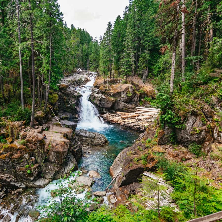 Медиаколлаж