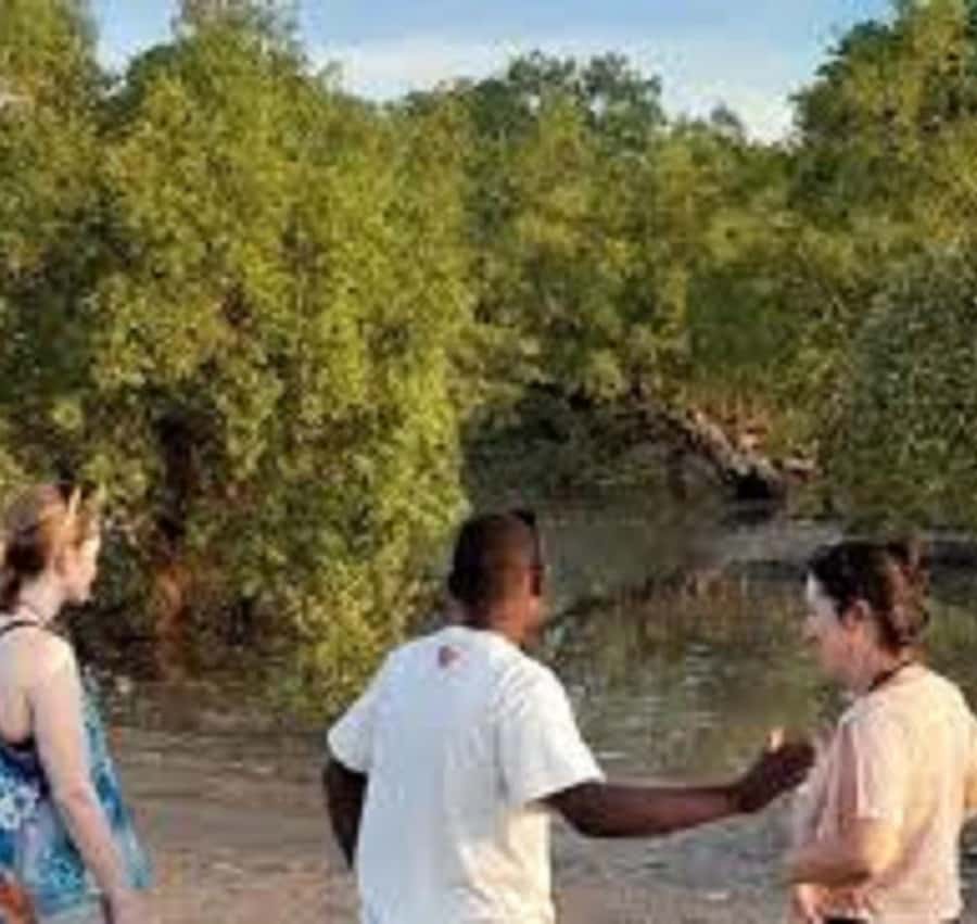 Galería de fotos para redes