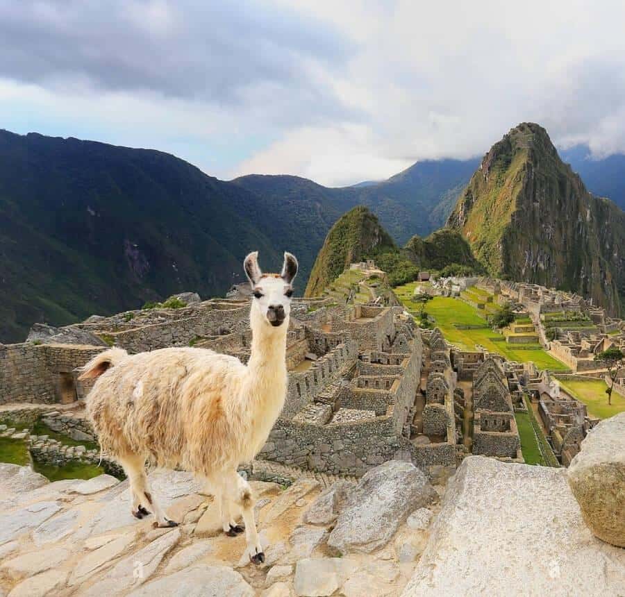 Galería de fotos para redes