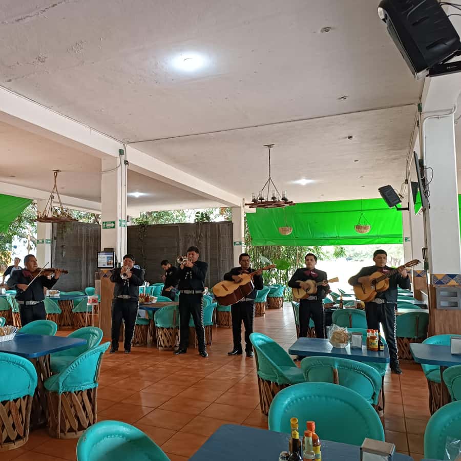 Galería de fotos para redes