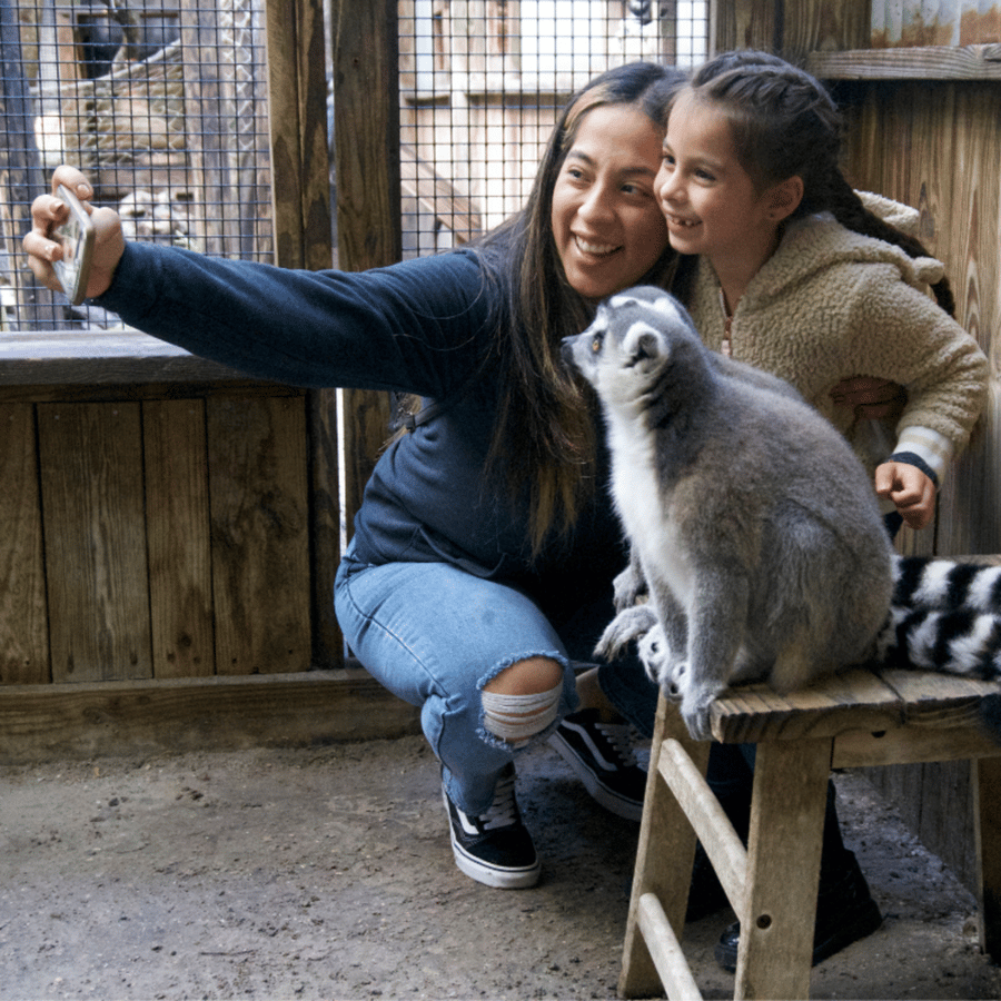 Orlando: Wild Florida Park, Gator Show & Animal Encounters