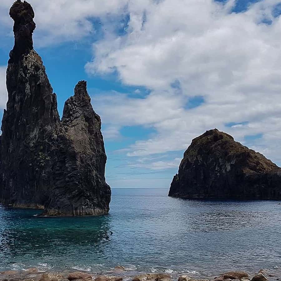 Galería de fotos para redes