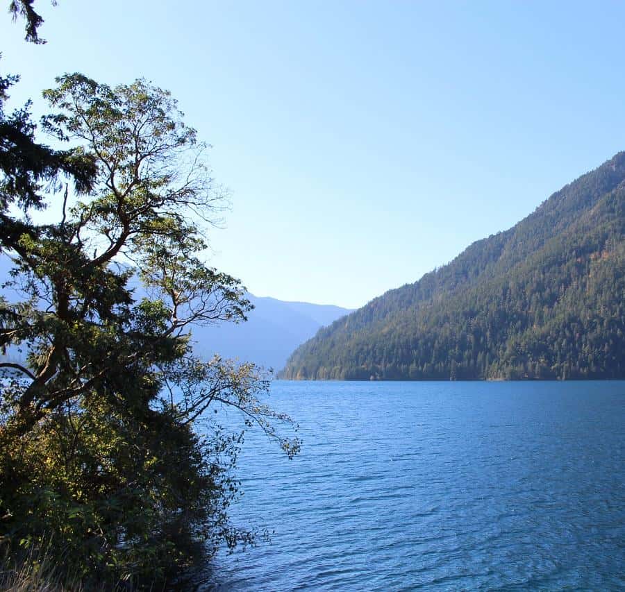 Seattle: Olympic National Park Full-Day Tour & Scenic Ferry
