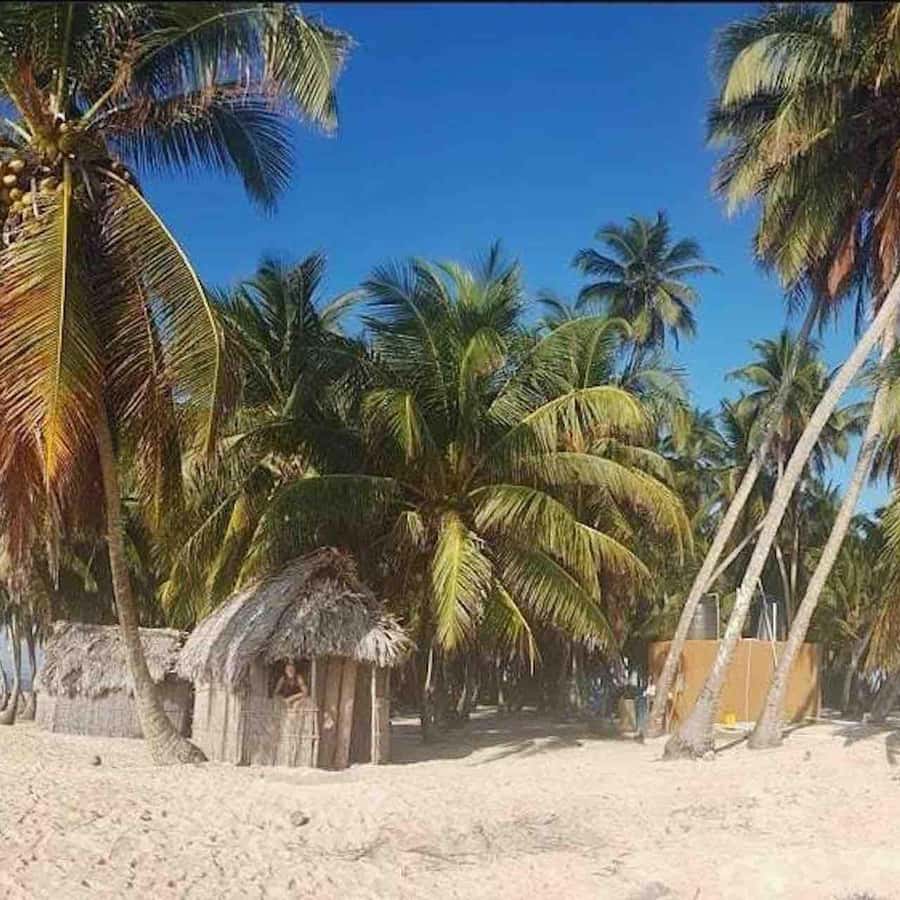 Galería de fotos para redes