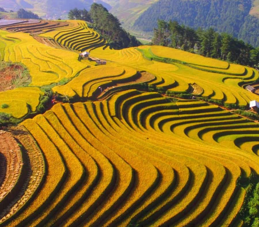 From Hanoi: 3-Day Sapa Trekking (sleep at hotel & homestay)