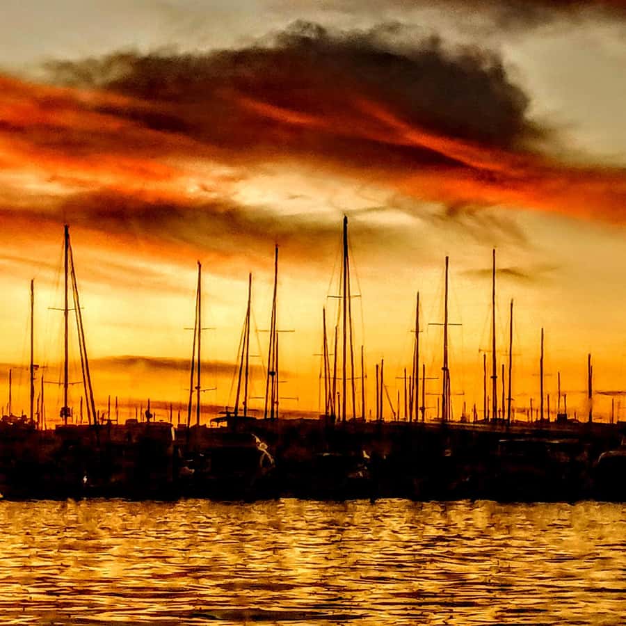 Romantic Surprise Dinner Cruise or Wine & Charcuterie Tour