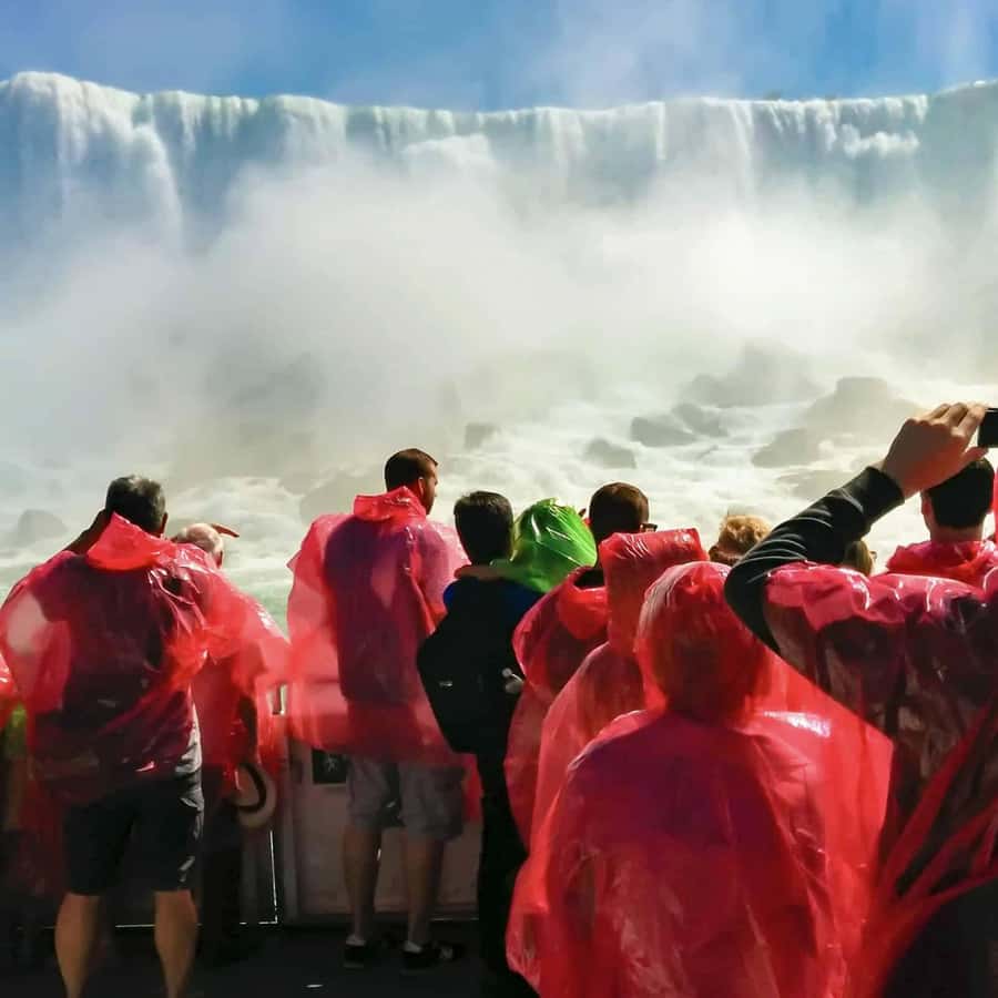 Galería de fotos para redes