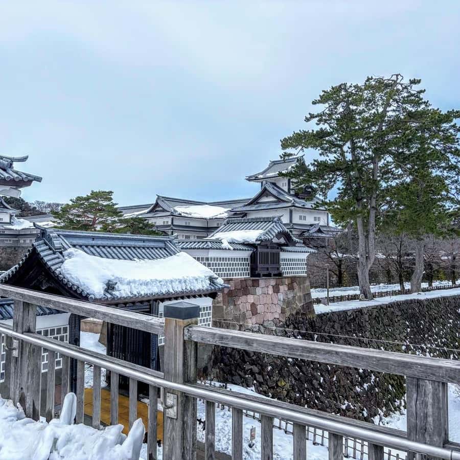 メディア コラージュ