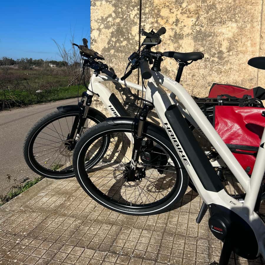 Lecce: Noleggio di biciclette elettriche di alta qualità