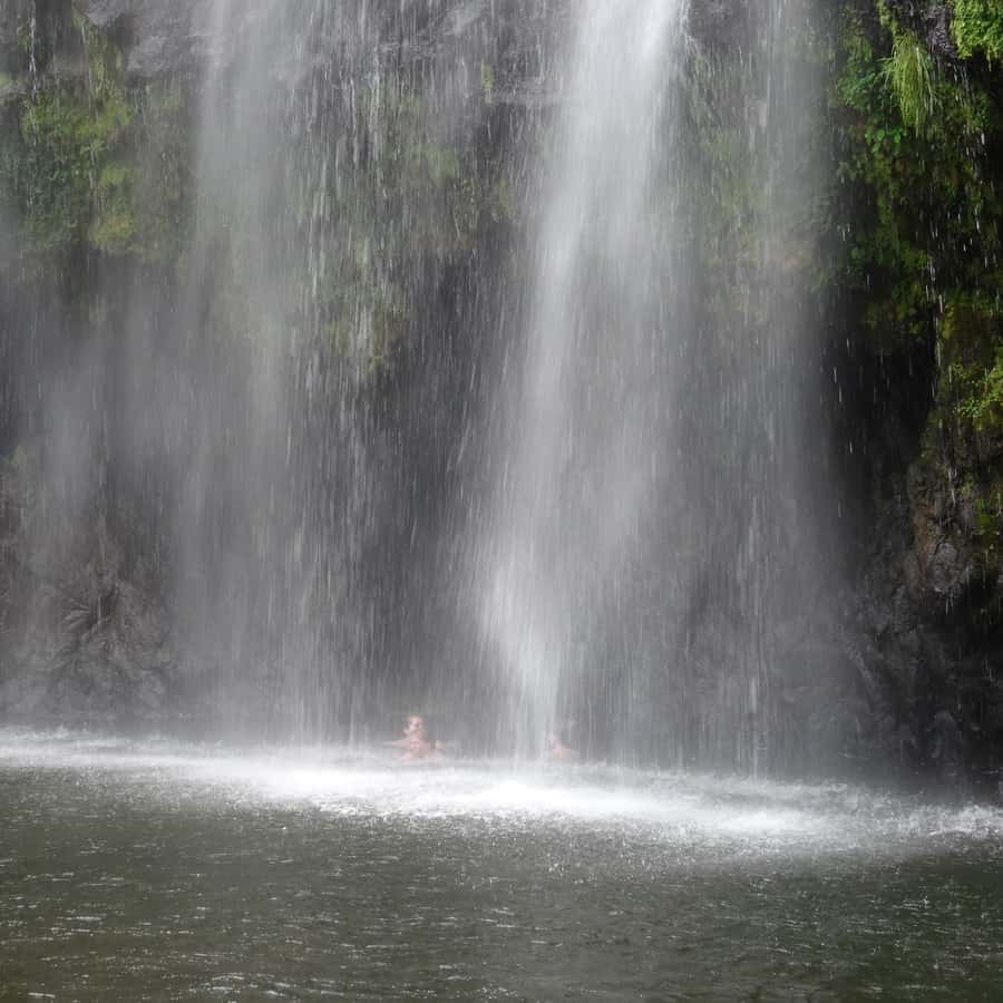 Colagem de mídia