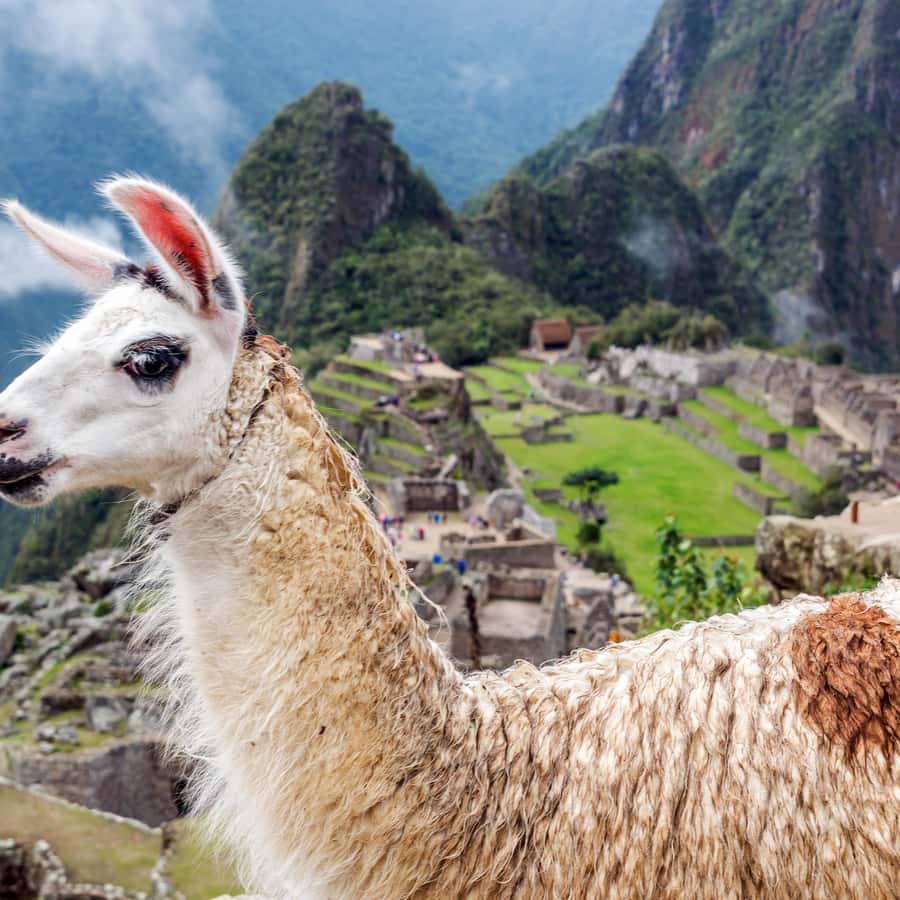 Machu Picchu: Official Entrance