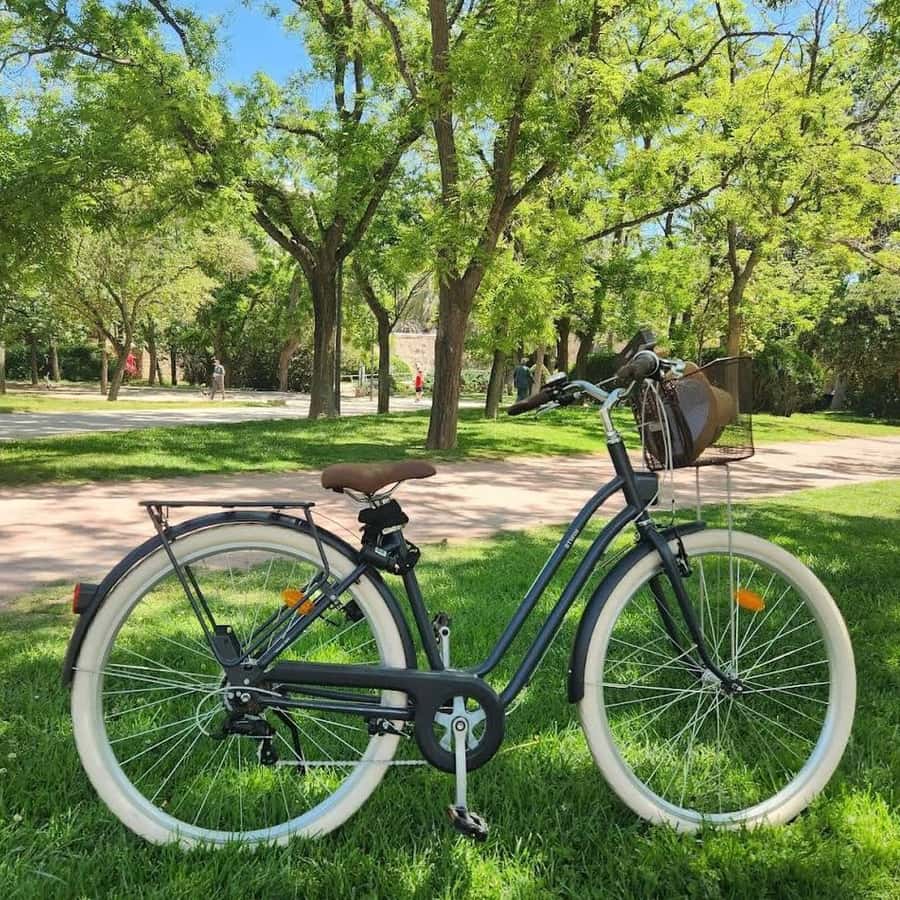 Rental Cars Panier Velo Btwin Bicycle Velo De Ville Elops 520