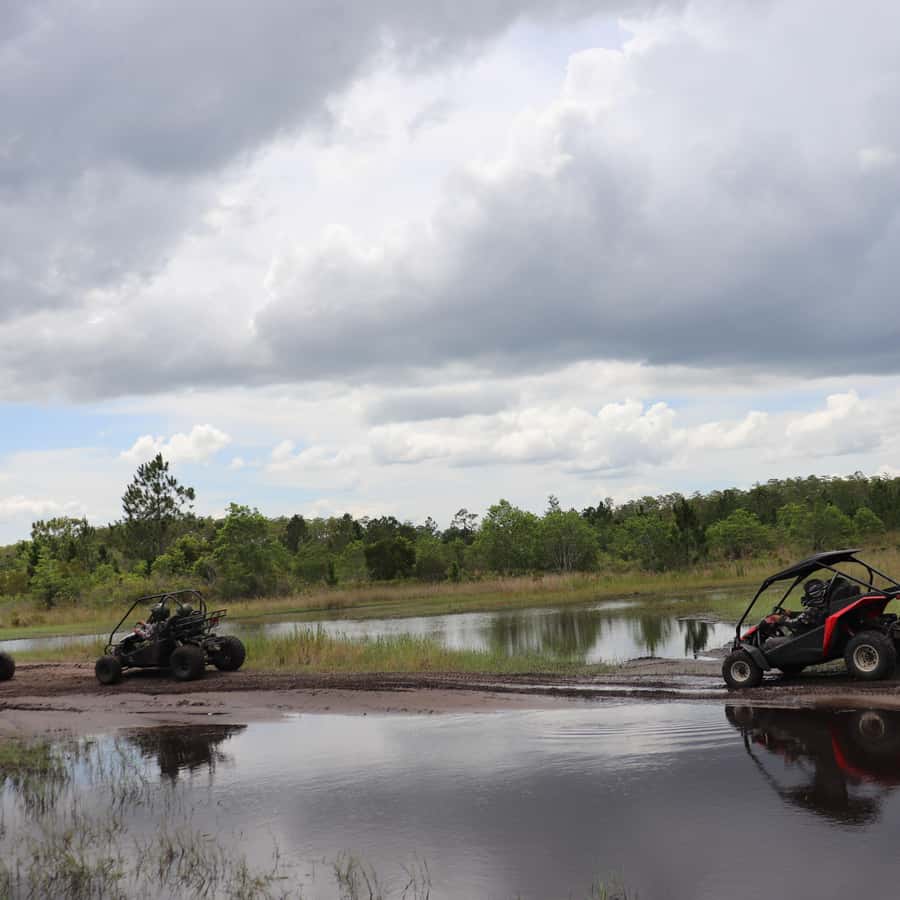 Houston: Dune Buggy Adventures