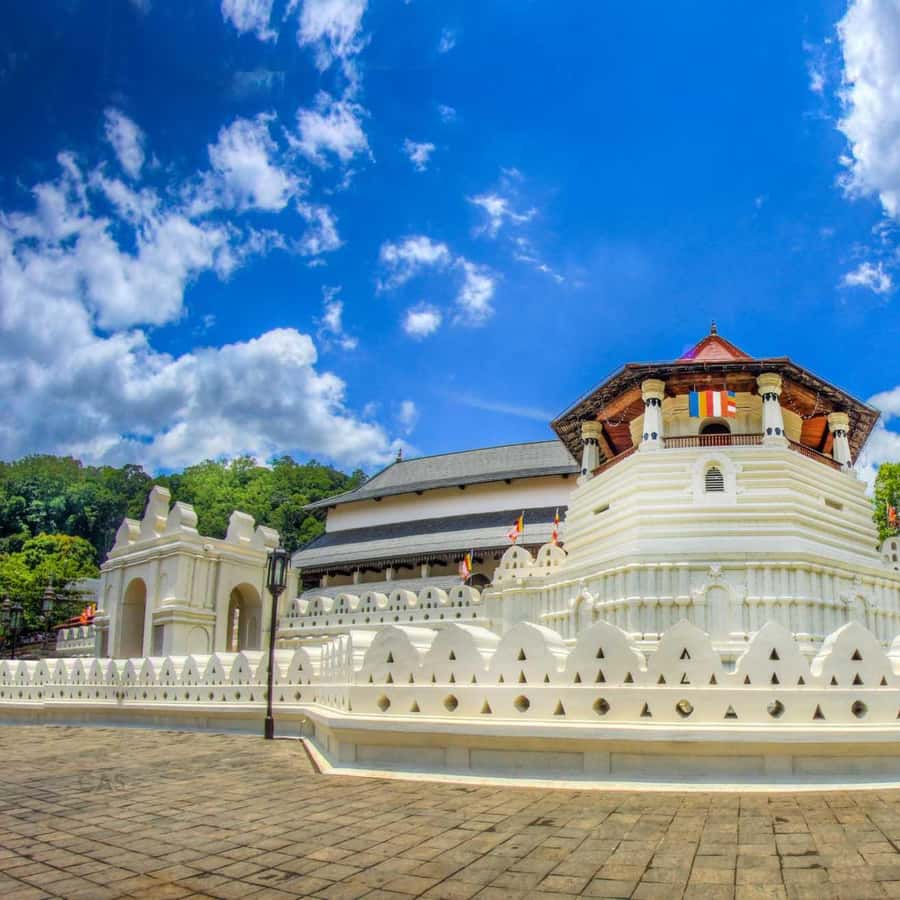 Kandy e Pinnawala: Uma experiência perfeita num tour de 1 dia | GetYourGuide, image size:900x900