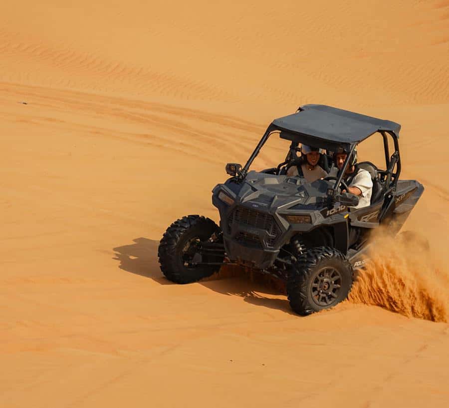 Dubai: Red Dunes Safari with Dune Buggy, Sandboard Camel