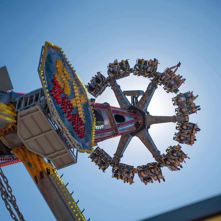 선샤인 코스트: 오지 월드 테마파크 입장권 | GetYourGuide