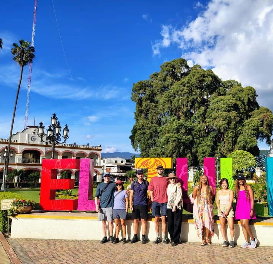 Galería de fotos para redes
