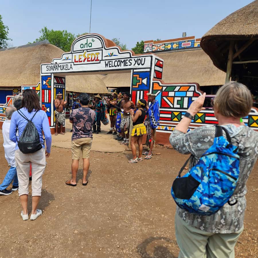 Safari at Lion and Rhino Park Lesedi Culture Village GetYourGuide