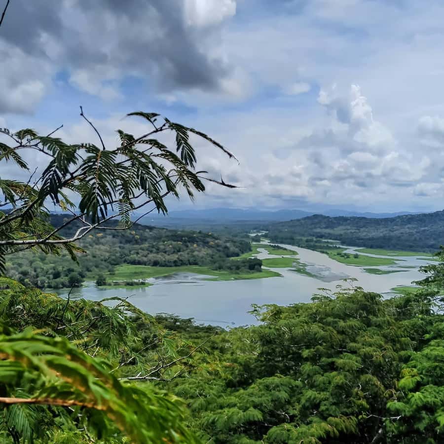 Colagem de mídia