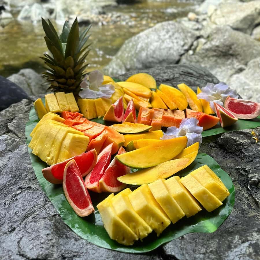 East El Yunque - Hidden Rainforest Waterpark